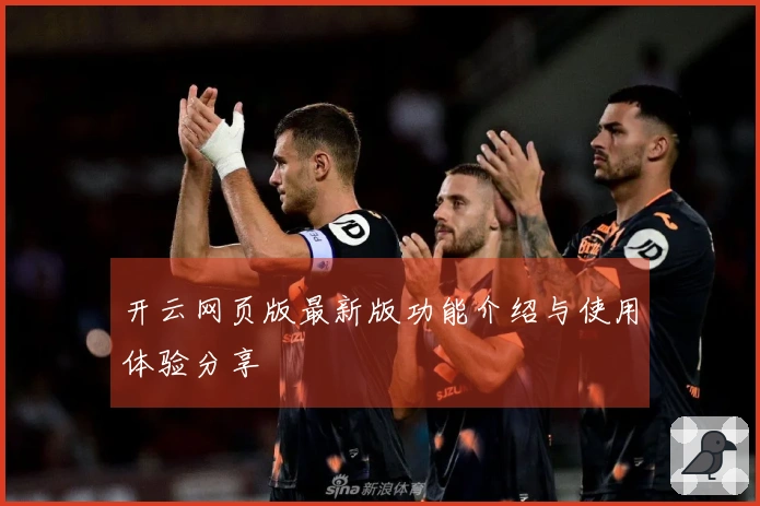 开云网页版最新版功能介绍与使用体验分享