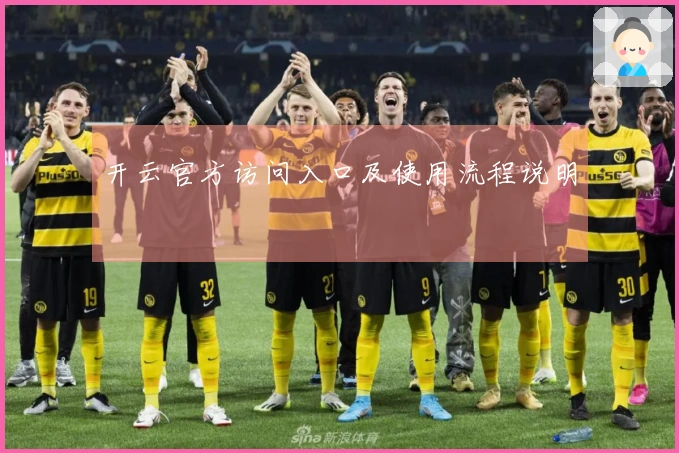 开云官方访问入口及使用流程说明