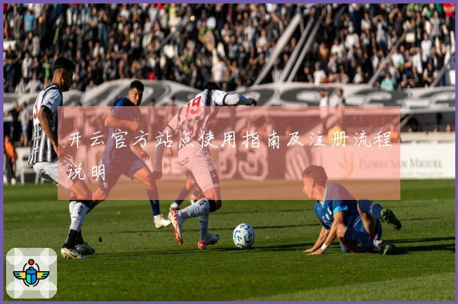 开云官方站点使用指南及注册流程说明